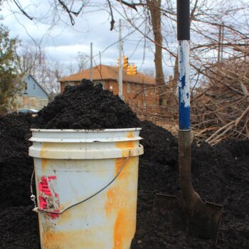 Small Batch Sifted Compost - 5 Gallons - Sanctuary Farms
